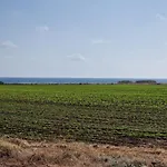 In Paphos * Mandria (Paphos)