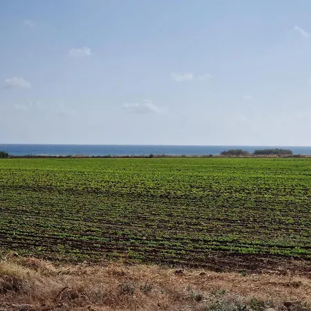 In Paphos * Mandriá