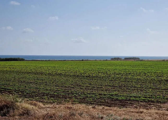 In Paphos * マンドリア